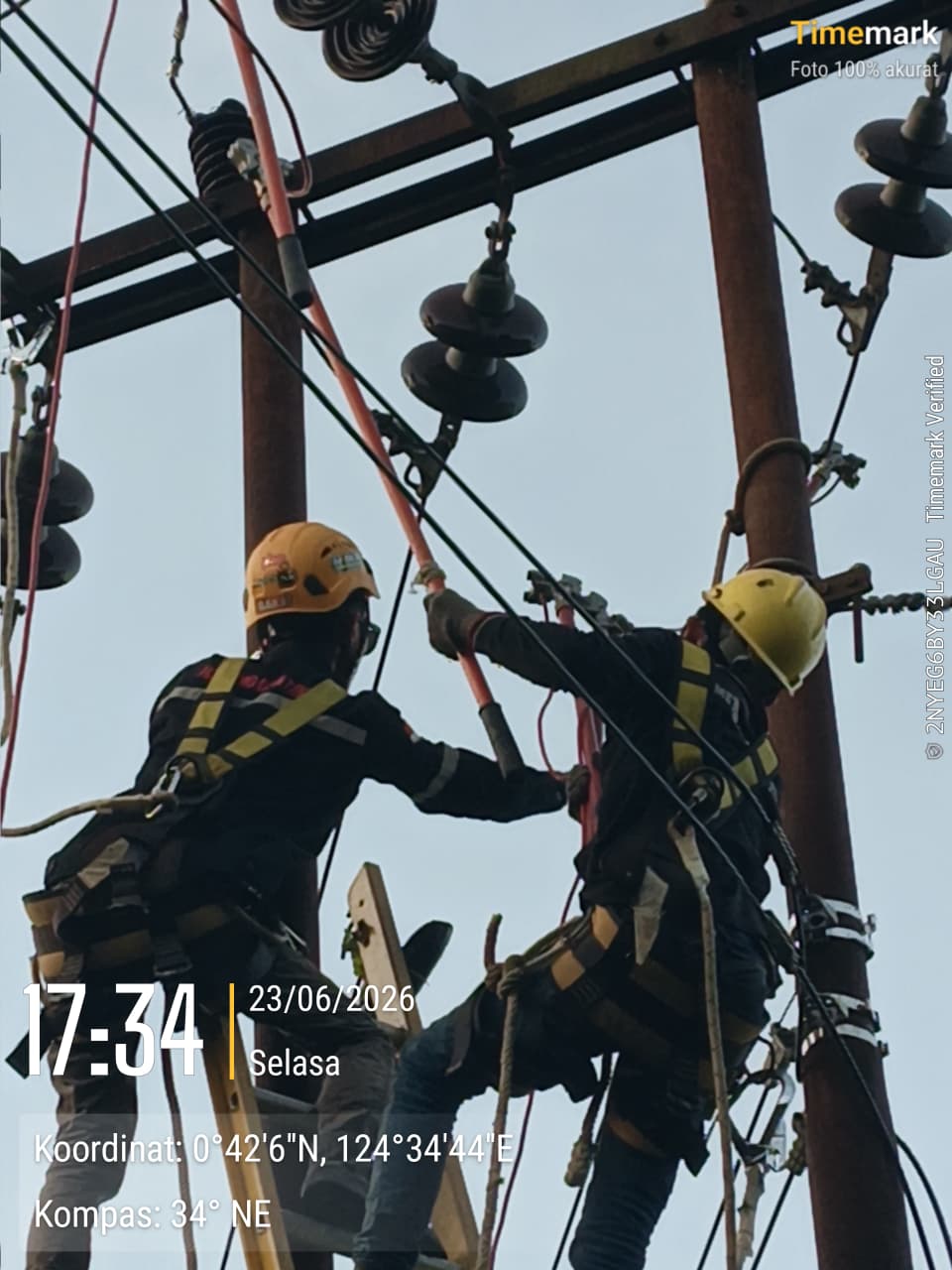 MDT Laksanakan Pekerjaan Uprating Jaringan SUTM 20 kV di Motongkad, Kawasan ULP Modayag