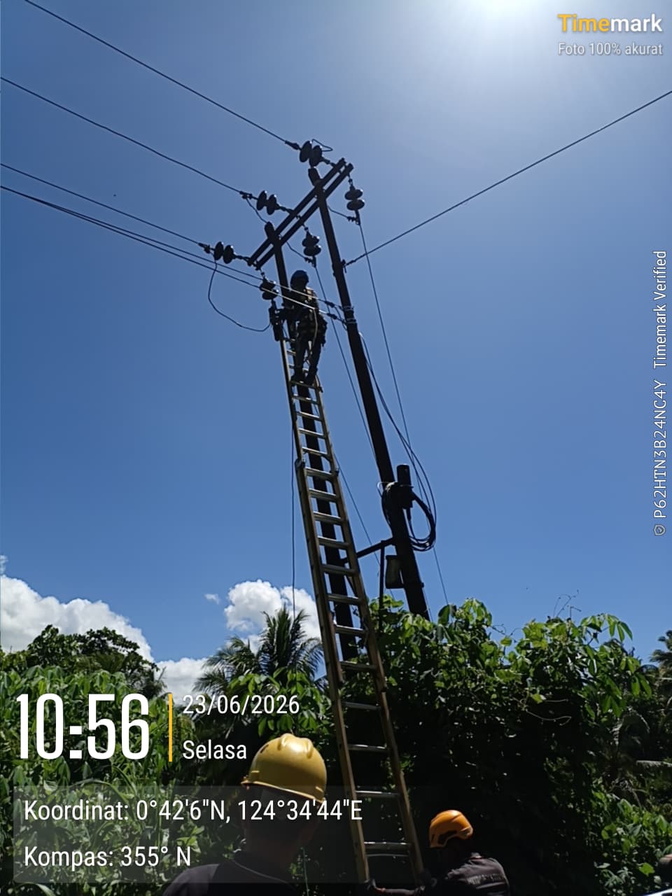 MDT Laksanakan Pekerjaan Uprating Jaringan SUTM 20 kV di Motongkad, Kawasan ULP Modayag — 2