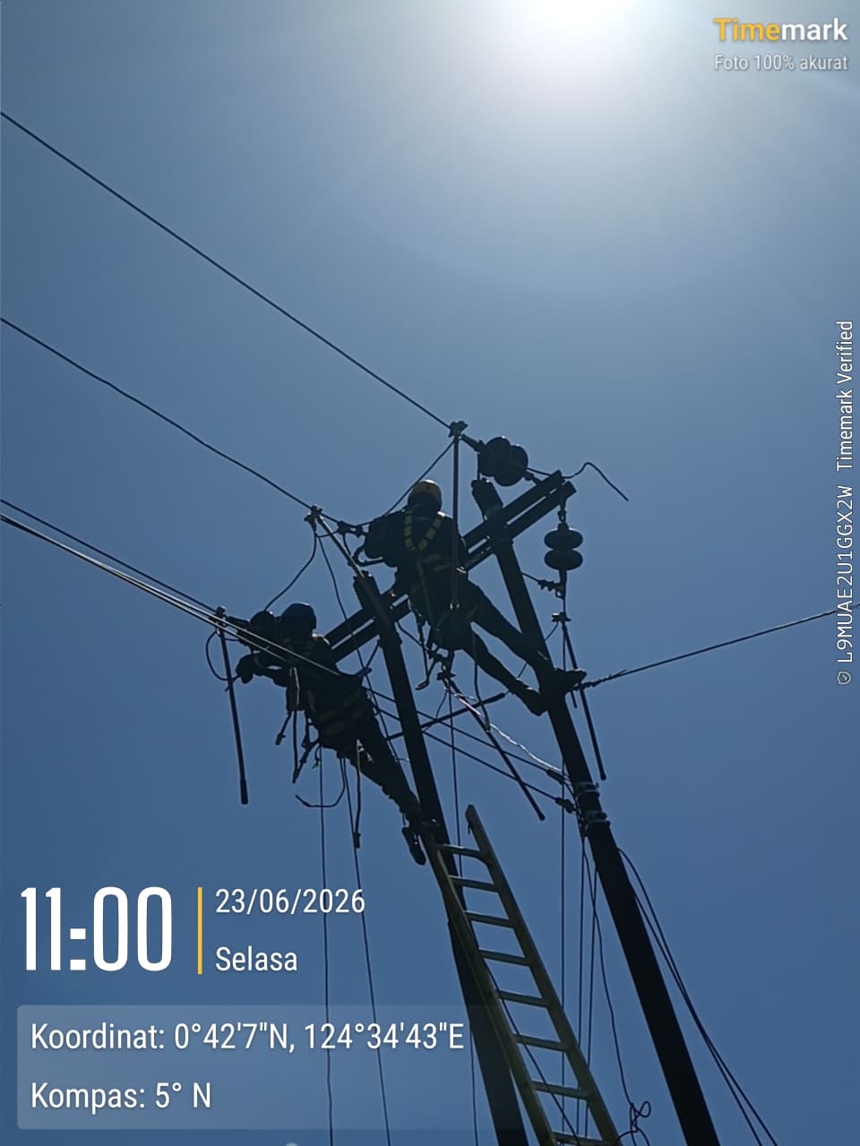 MDT Laksanakan Pekerjaan Uprating Jaringan SUTM 20 kV di Motongkad, Kawasan ULP Modayag — 3