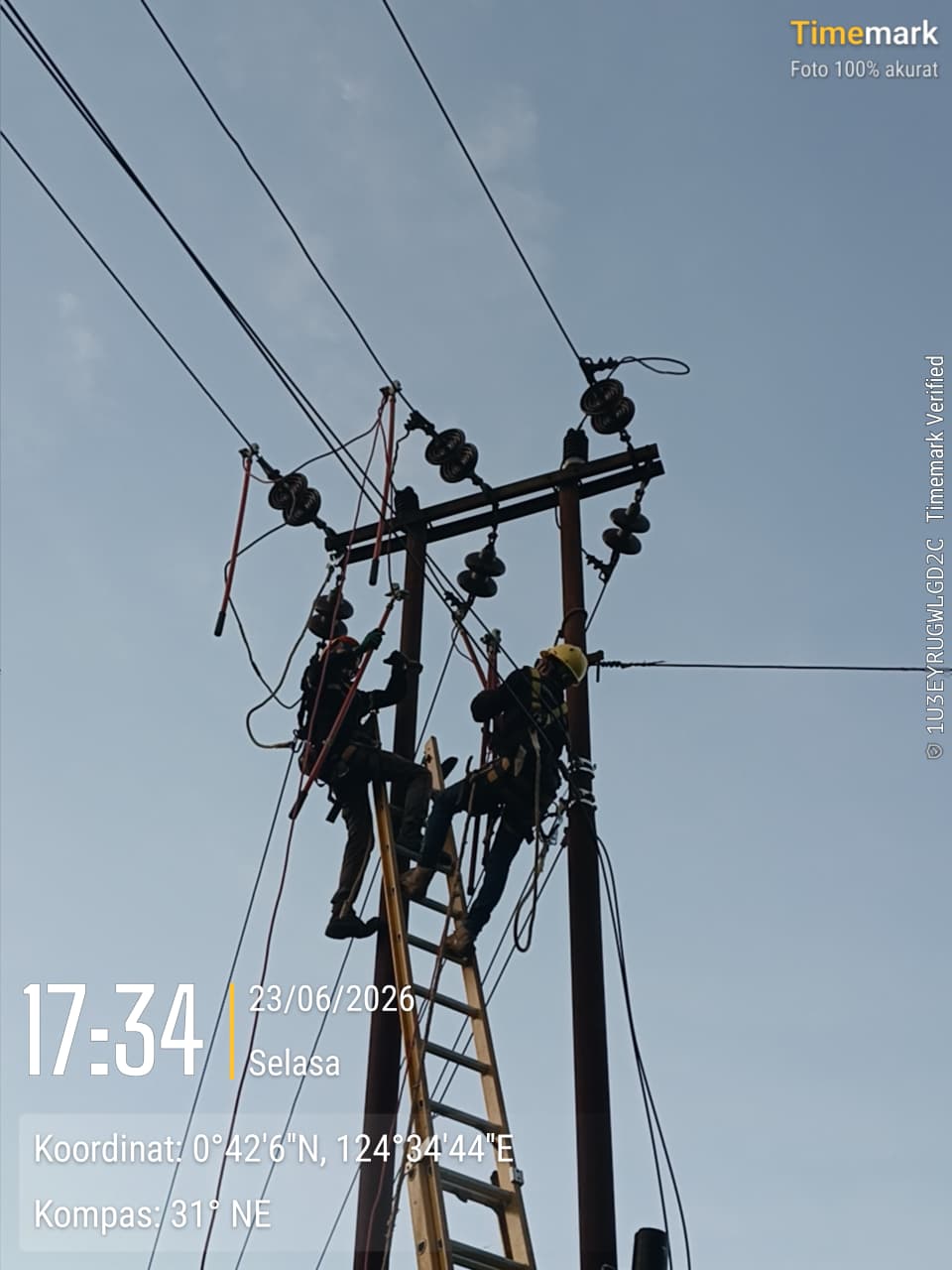 MDT Laksanakan Pekerjaan Uprating Jaringan SUTM 20 kV di Motongkad, Kawasan ULP Modayag — 9