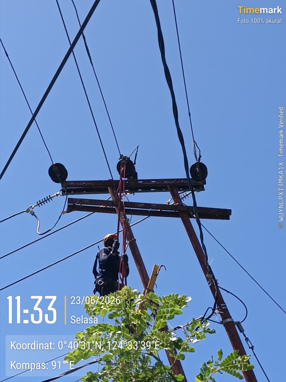 MDT Laksanakan Pekerjaan Uprating Jaringan SUTM 20 kV di Motongkad, Kawasan ULP Modayag — 10